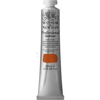 W&N Akr 200ml Burnt Sienna