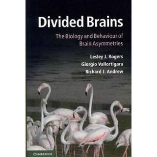 Divided Brains