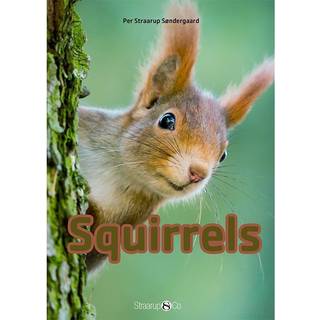Squirrels