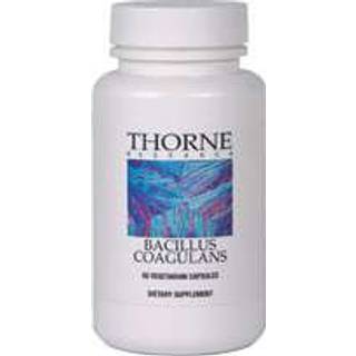 Bacillus Coagulans
