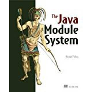 The Java Module System