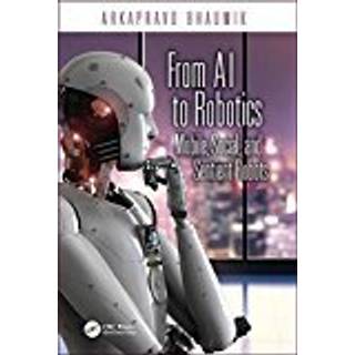 From AI to Robotics