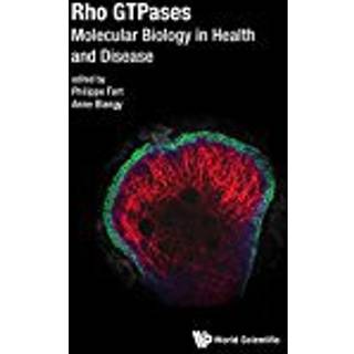 Rho Gtpases: Molecular Biology In Health And Disease