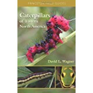 Caterpillars of Eastern North America