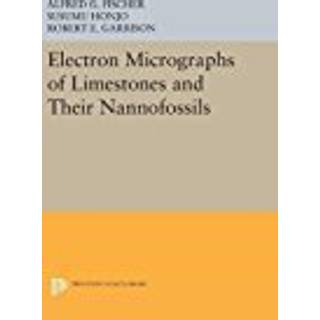 Electron Micrographs of Limestones and Their Nannofossils