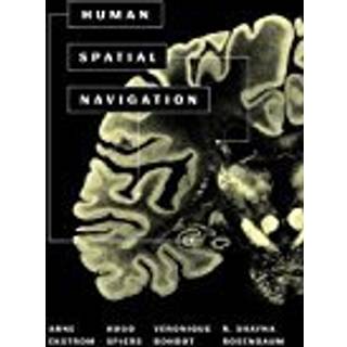 Human Spatial Navigation