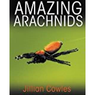 Amazing Arachnids