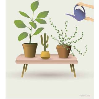 Tilbud: Spar 75% - Growing Plants - Plakat 30x40 cm fra ViSSEVASSE