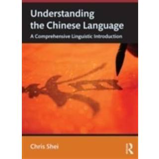 Understanding the Chinese Language