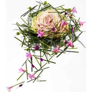Syet rose i rosa