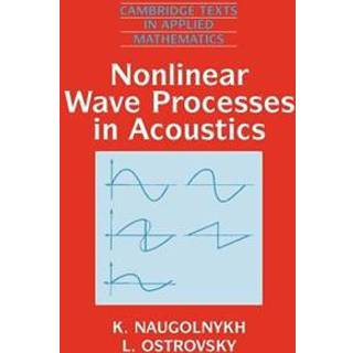 Nonlinear Wave Processes in Acoustics