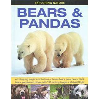 Exploring Nature: Bears & Pandas