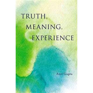 Truth, Meaning, Experience