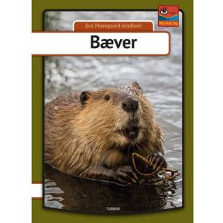 Bæver