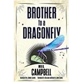 Brother to a Dragonfly