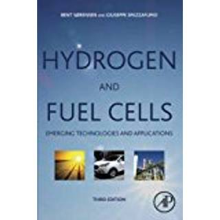 Hydrogen and Fuel Cells