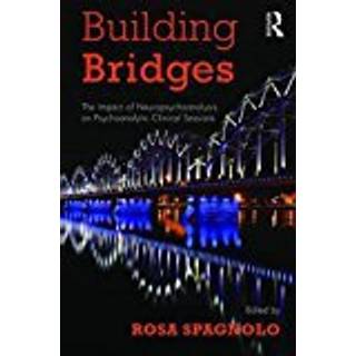 Building Bridges