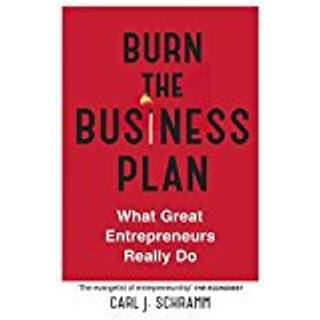 Burn The Business Plan