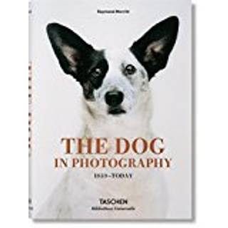 The Dog in Photography