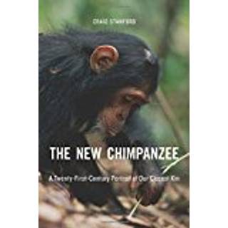 The New Chimpanzee