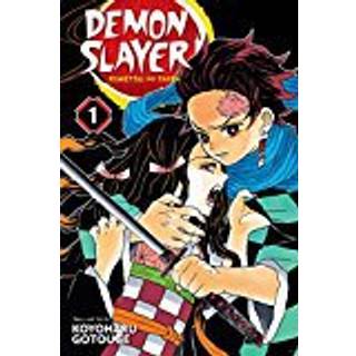 "Demon Slayer: Kimetsu no Yaiba Vol 01"