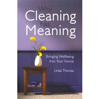 Why Cleaning Has Meaning