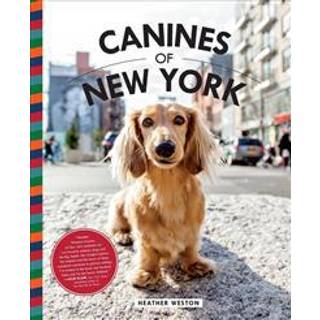 Canines of New York