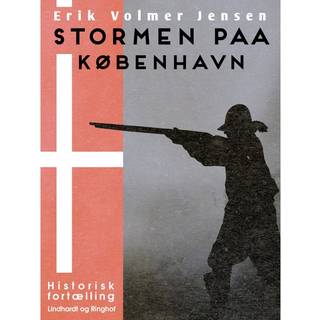 Stormen paa København