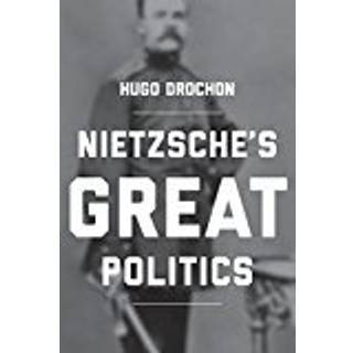 Nietzsche's Great Politics