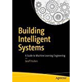 Building Intelligent Systems
