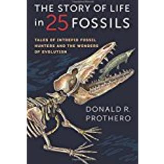 The Story of Life in 25 Fossils
