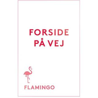 Mit knap så perfekte liv