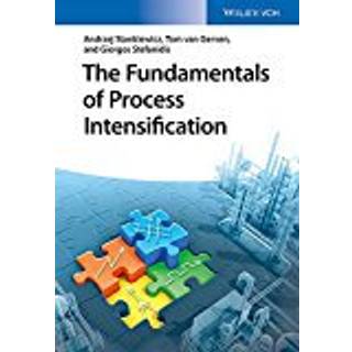 The Fundamentals of Process Intensification (4, 2019) | Andrzej Stankiewicz,Georgios Stefanidis,Tom Van Gerven