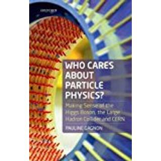 Who Cares about Particle Physics?