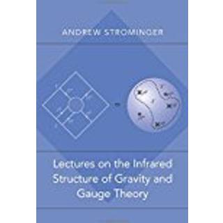 Lectures on the Infrared Structure of Gravity and Gauge Theory