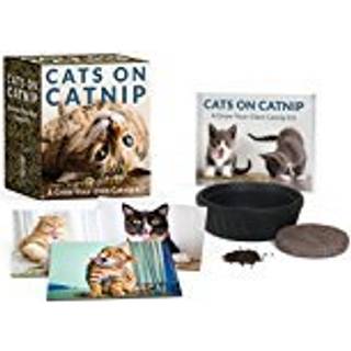 Cats on Catnip: A Grow-Your-Own Catnip Kit