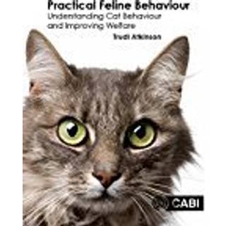 Practical Feline Behaviour