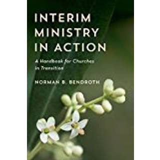 Interim Ministry in Action