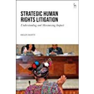 Strategic Human Rights Litigation
