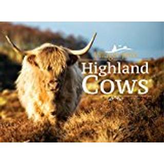 Villager Jim's Highland Cows