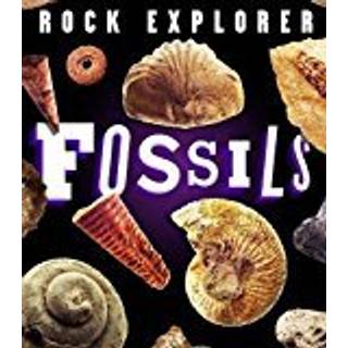 Rock Explorer: Fossils