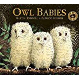 Owl Babies
