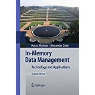 In-Memory Data Management