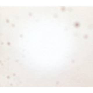 Yo La Tengo - There's a Riot Going on