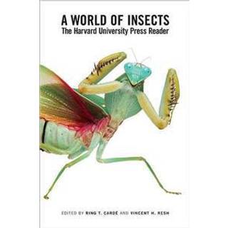A World of Insects