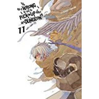 Is It Wrong to Try to Pick Up Girls in a Dungeon?, Vol. 11 (light novel)