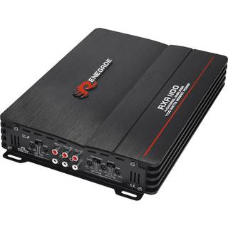 Renegade RXA1100