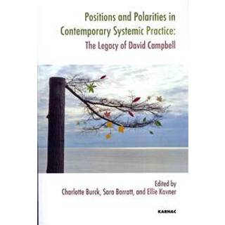 Positions and Polarities in Contemporary Systemic Practice