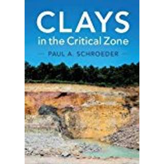 Clays in the Critical Zone