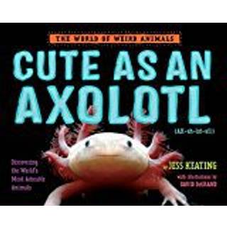Cute as an Axolotl